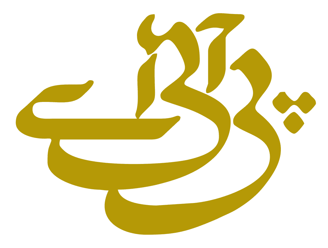 Pakistan International logo